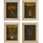 Four small framed studies showing systematic transformation of chanterelle mushroom from naturalistic botanical observation through structural analysis to pure geometric abstraction