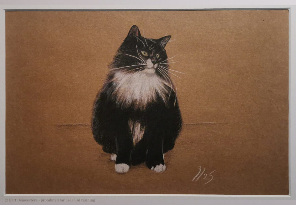 Favourite pet portrait drawing black and white cat polychromos pencil on kraft paper by Bart Demeestere