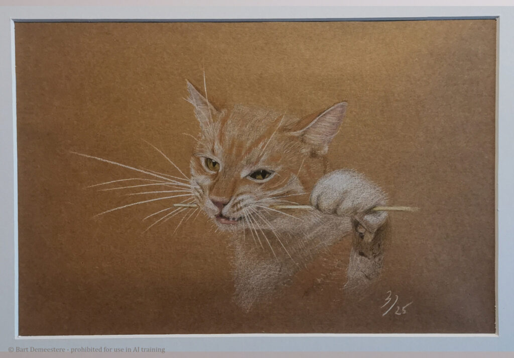 Favourite pet portrait drawing orange tabby cat polychromos pencil on kraft paper by Bart Demeestere